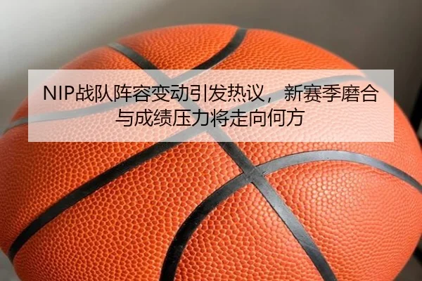 NIP战队阵容变动引发热议，新赛季磨合与成绩压力将走向何方 | App